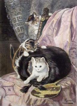 亨利艾特 羅納 尅尼普 cats